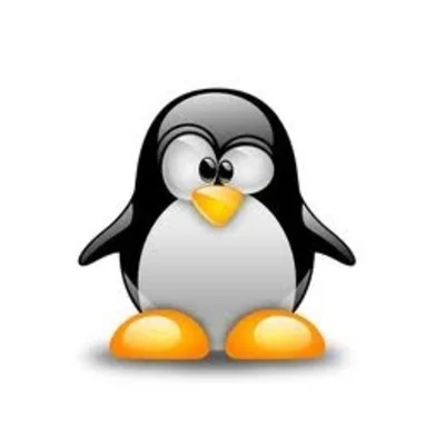 Development of Linux Drivers